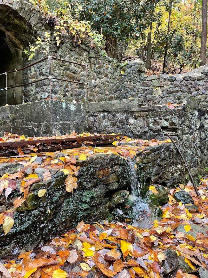 Why Valley Forge Park Took Over the Springs