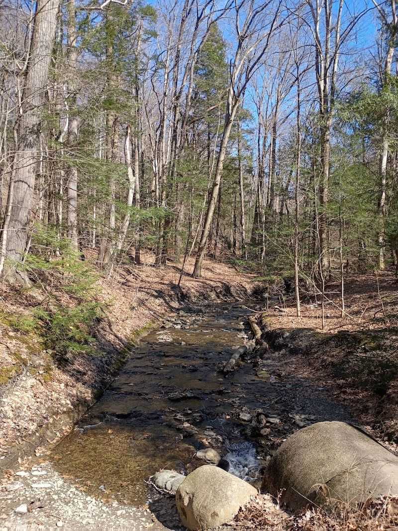 Why Wintergreen Gorge Deserves More Recognition