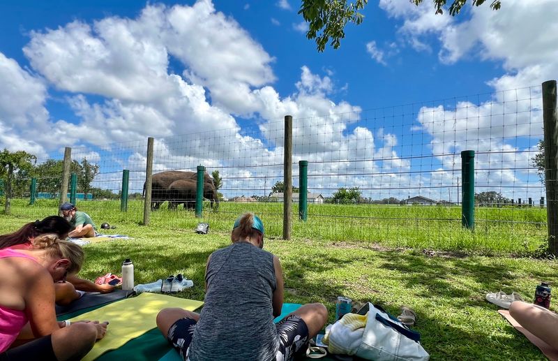 Why the Ranch Is a Nonprofit and Why That Matters