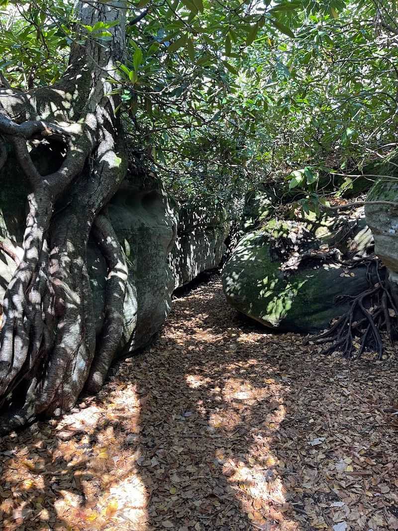 Why the Rock Maze Deserves a Spot on Your Maryland Bucket List