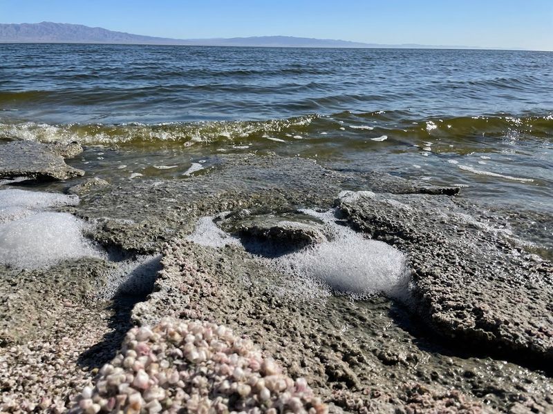 Why the Water Is So Salty and Toxic