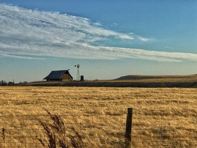 Wide-Open Spaces That Let You Actually Breathe