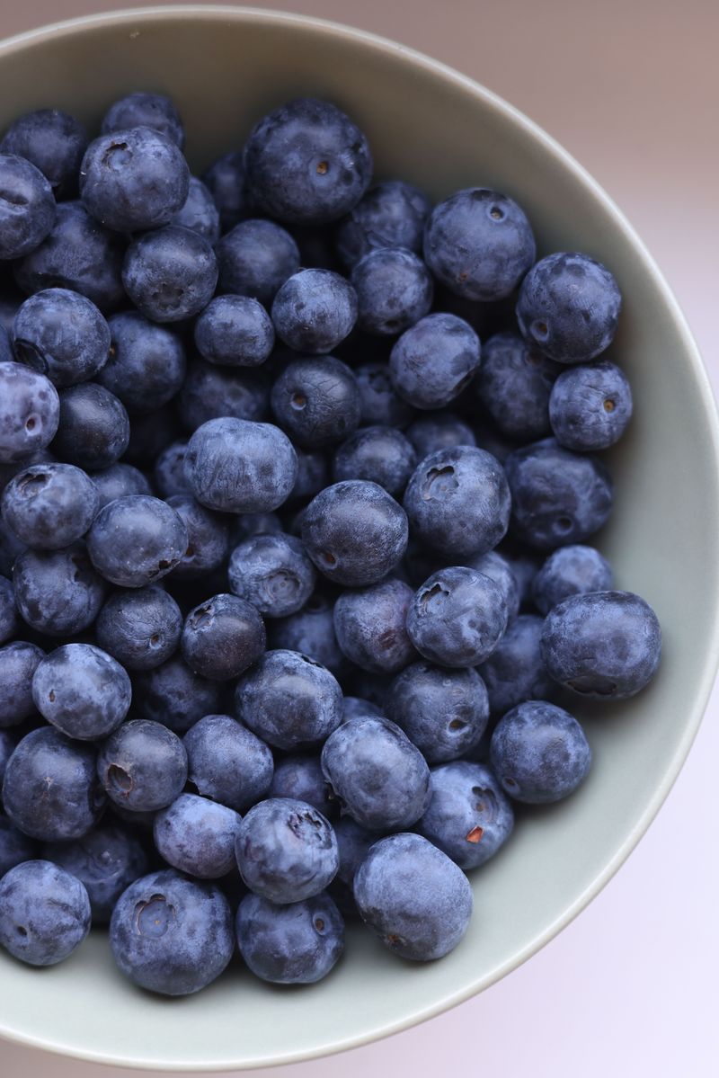 Wild Blueberries