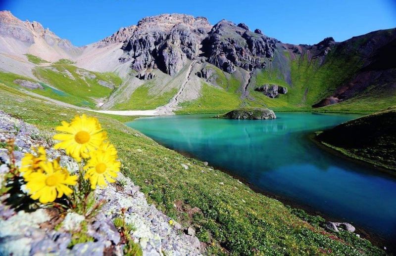 Wildflower Season in American Basin