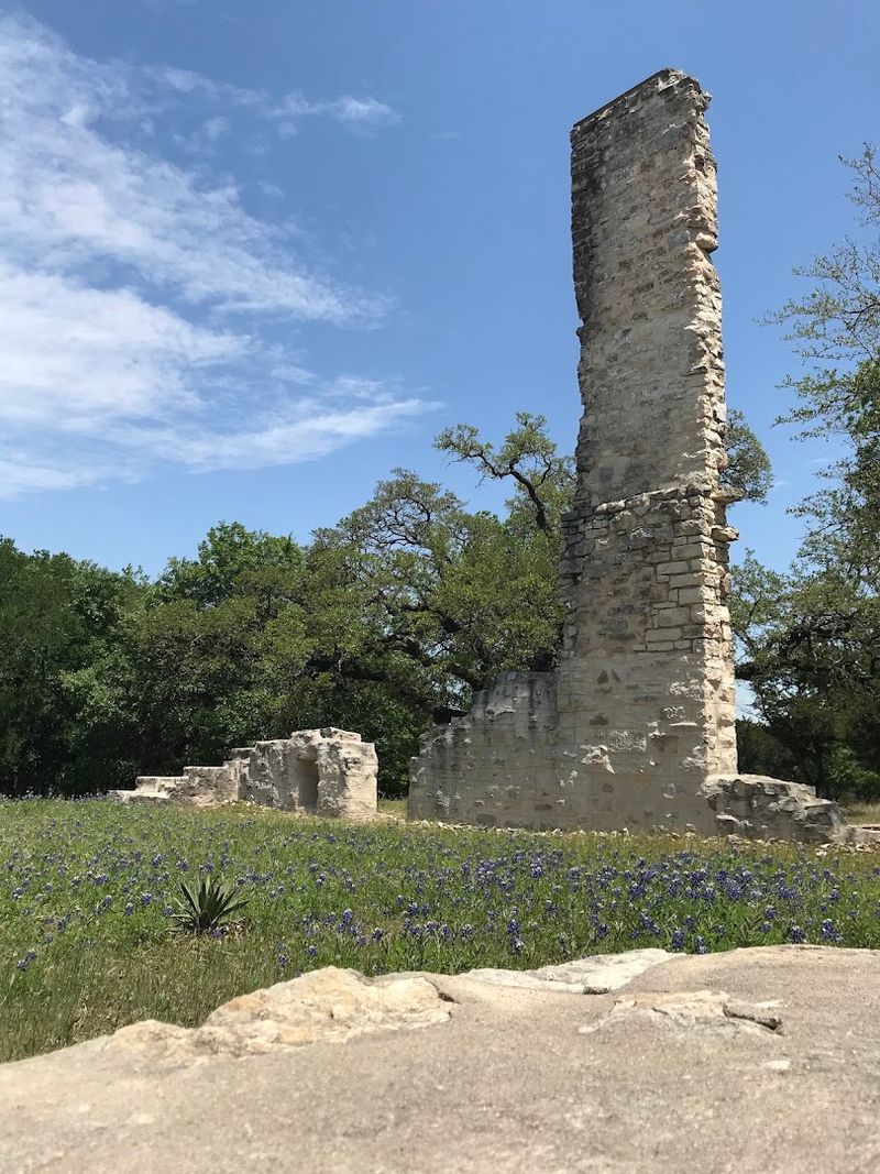 Wildflower Walks and Natural Beauty