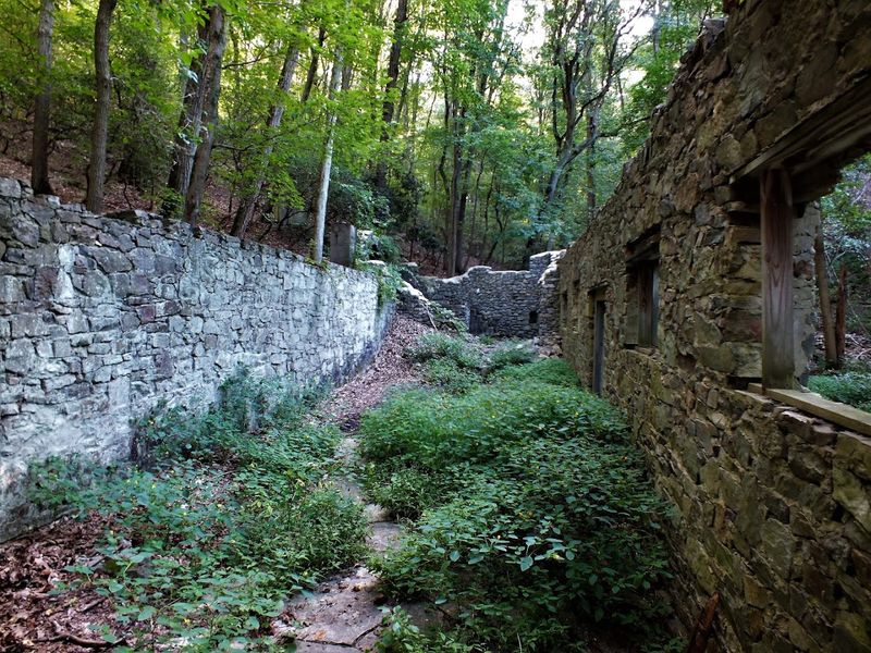 Wildflowers, Birds, and the Beauty of Slow Reclamation