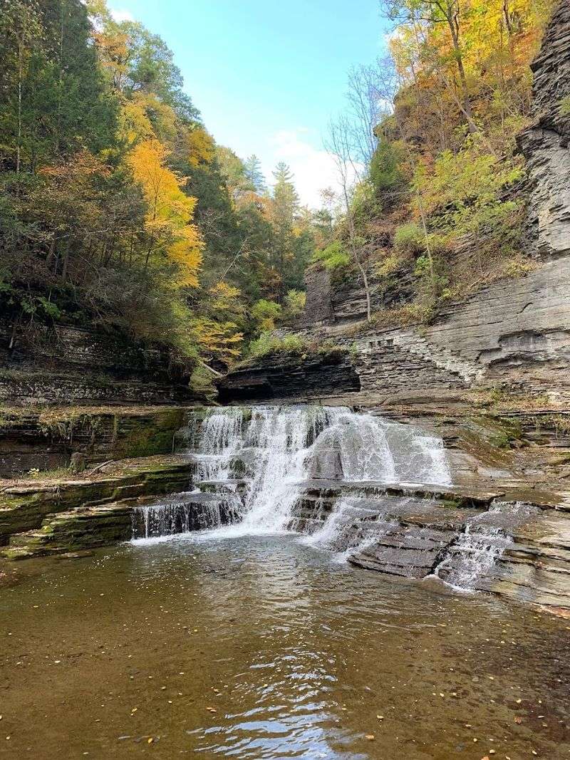 Wildflowers, Waterfalls, and Lush Forest Scenery
