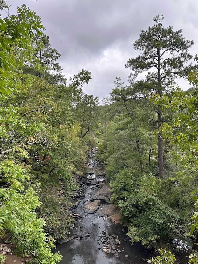 Wildlife And Birdwatching: Nature Lovers Will Be Thrilled Wildlife And Birdwatching: Nature Lovers Will Be Thrilled