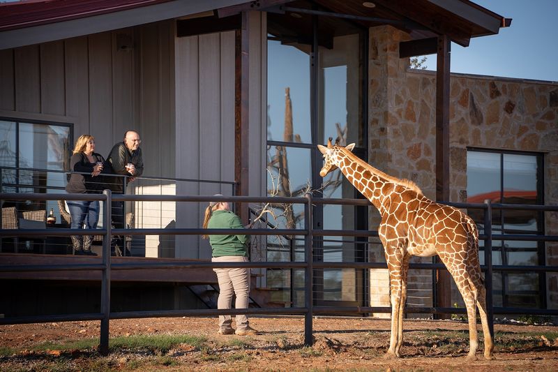Wildlife Conservation at the Heart of Every Visit