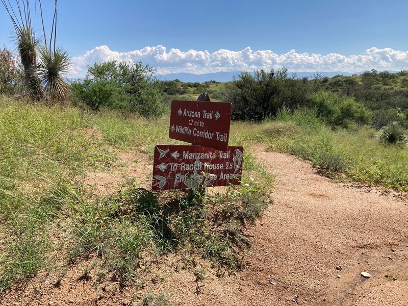 Wildlife Corridor Trail Where Nature Puts On a Real Show Wildlife Corridor Trail Where Nature Puts On a Real Show