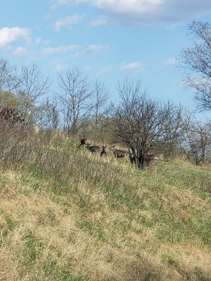 Wildlife Encounters Around Every Corner