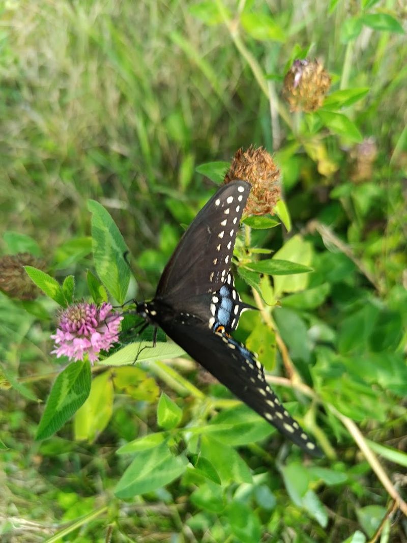 Wildlife Encounters That Catch You Off Guard Wildlife Encounters That Catch You Off Guard