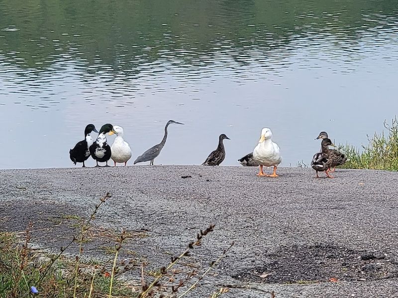 Wildlife Encounters That Remind You Nature Is Incredible