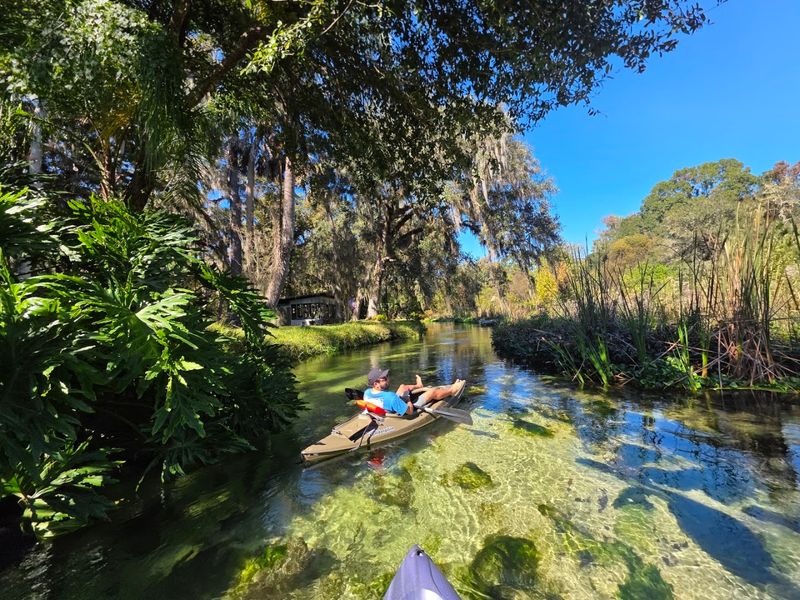Wildlife Encounters That Will Blow Your Mind Wildlife Encounters That Will Blow Your Mind
