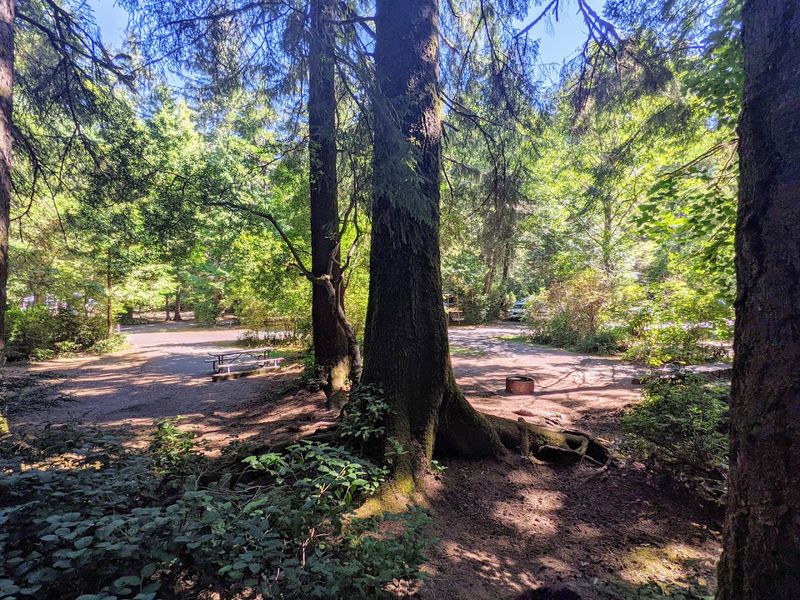 Wildlife Encounters You Won't Find at Most Oregon Beaches