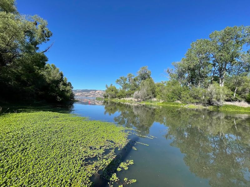 Wildlife Lovers Will Find a Surprising Paradise Here
