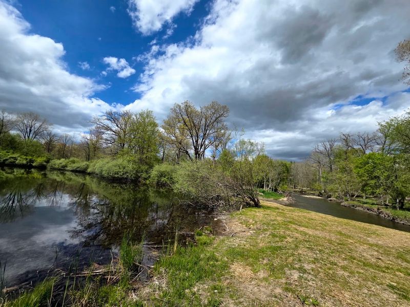 Wildlife, Nature Trails, and Fly Fishing on the Clinton River