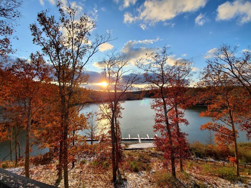 Wildlife, Nature, and the Feeling of True Wilderness Wildlife, Nature, and the Feeling of True Wilderness