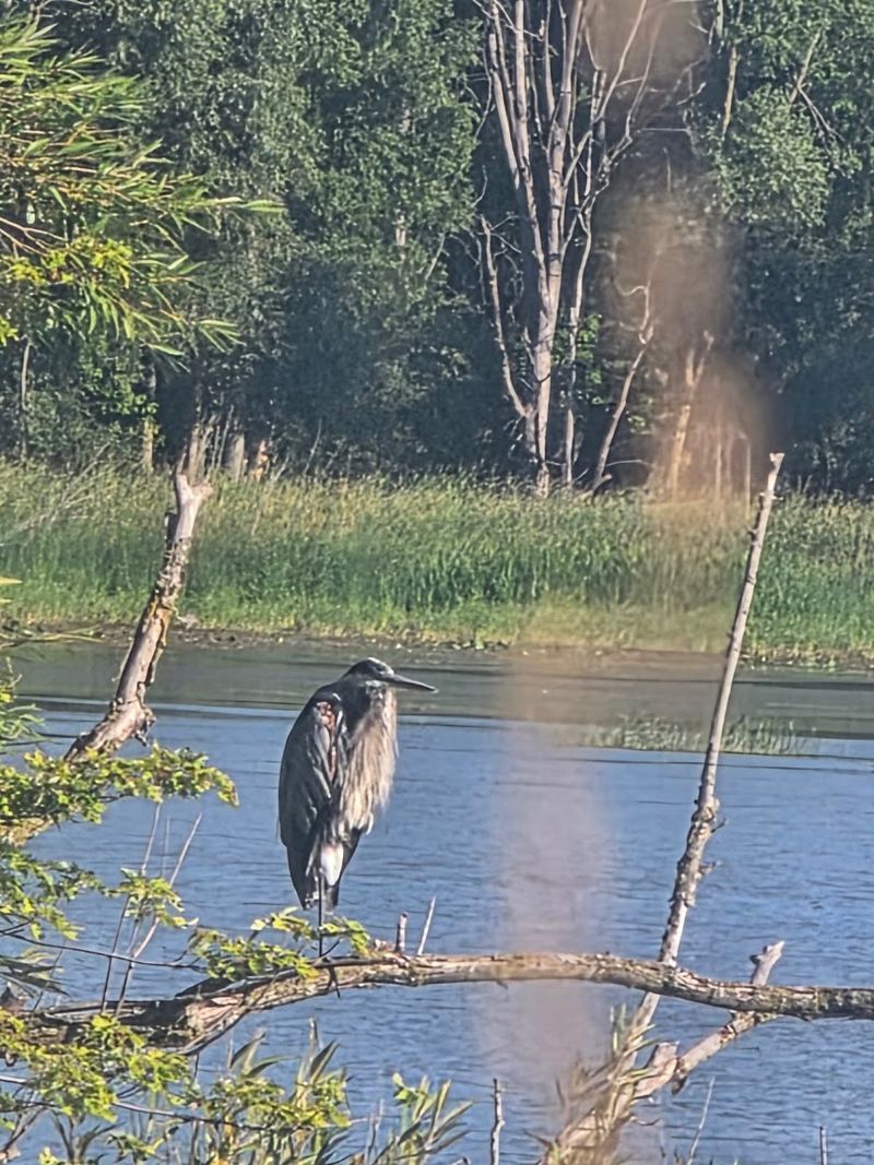 Wildlife Photography Opportunities Around Every Corner