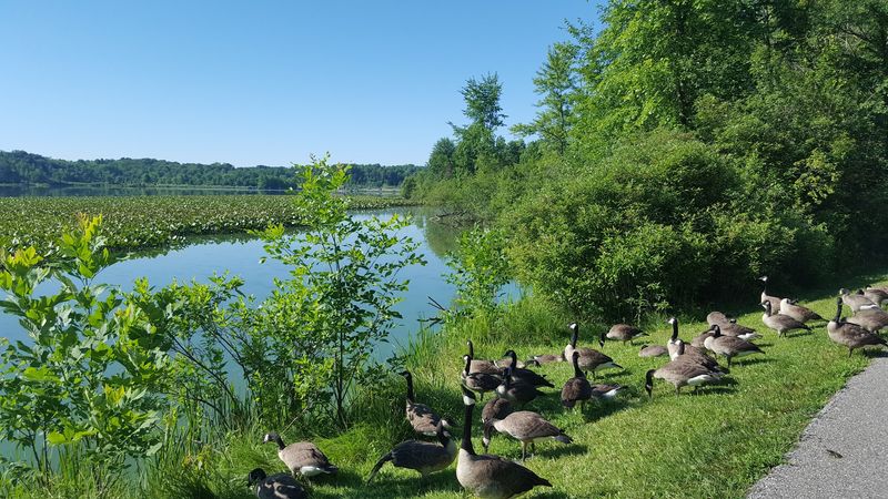 Wildlife Sightings That Make Every Visit Feel Different