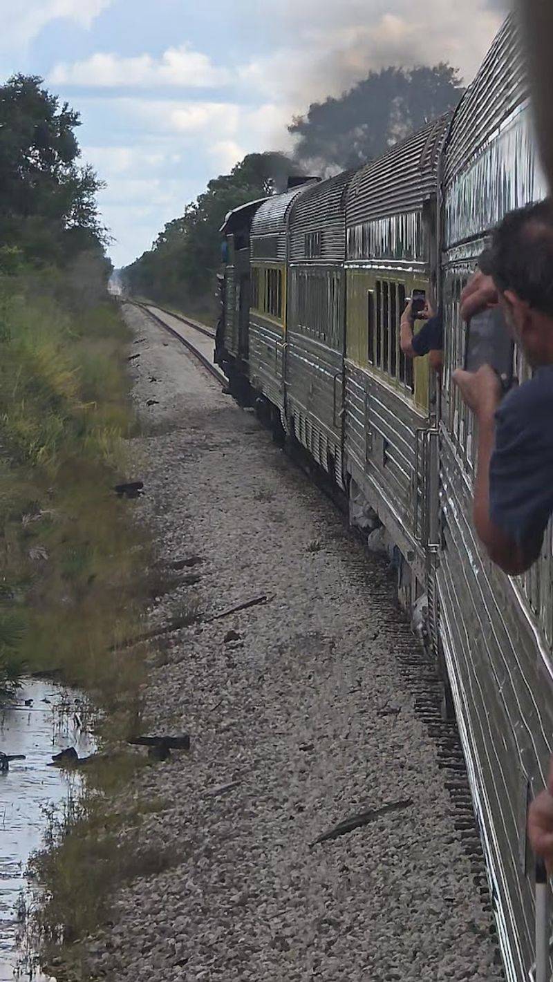 Wildlife Spotting Along the Rails Wildlife Spotting Along the Rails