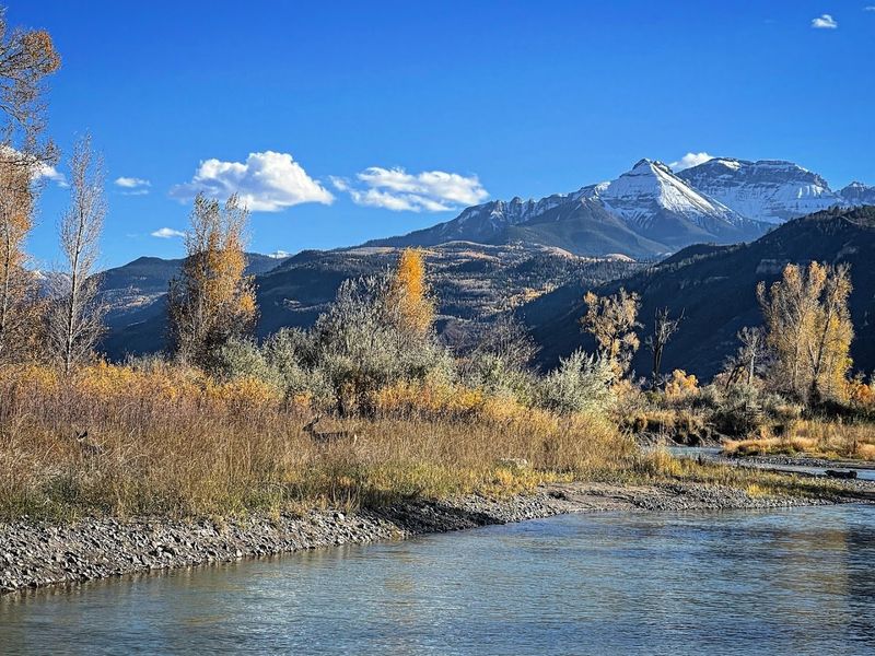 Wildlife Watching: Deer, Birds, and More Wildlife Watching: Deer, Birds, and More