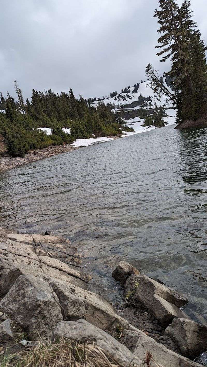 Wildlife Watching Opportunities Along the Way