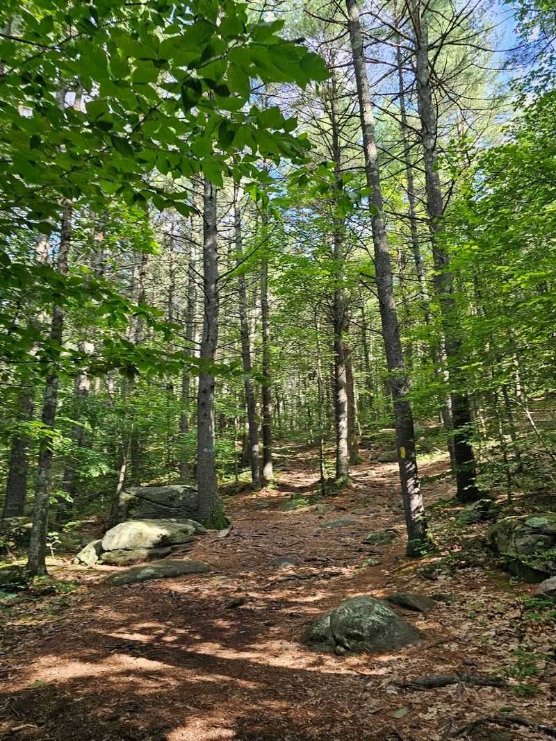 Wildlife Watching Opportunities on Charley's Loop
