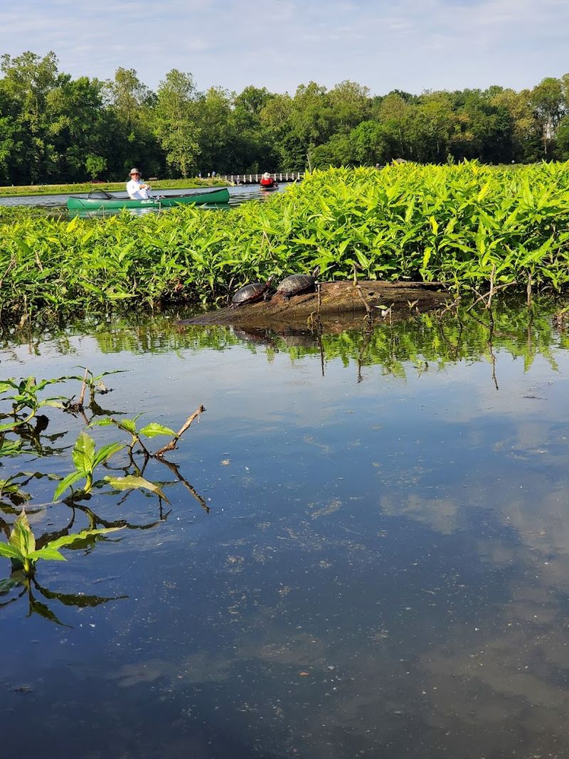 Wildlife Watching Opportunities