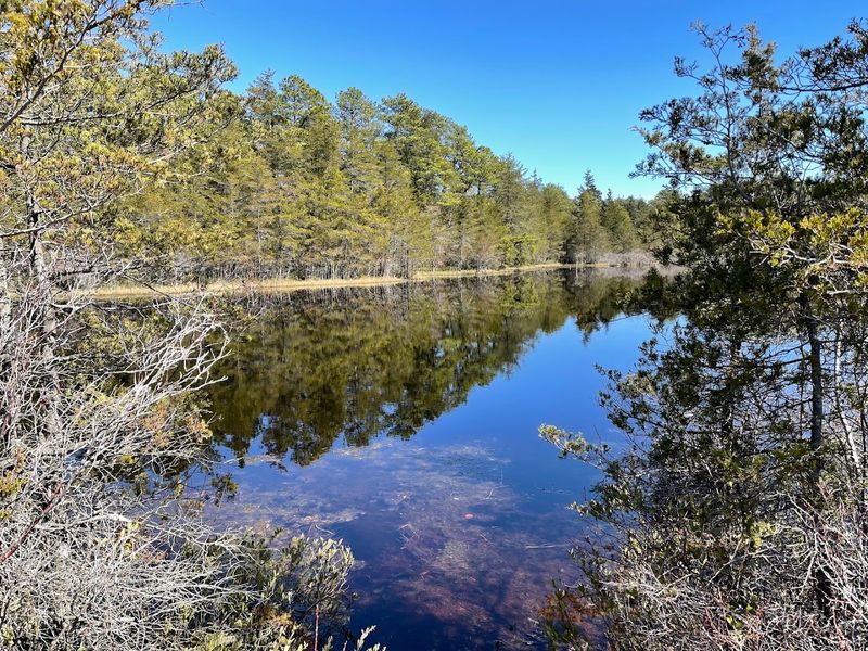 Wildlife Watching That Rivals Any Nature Preserve