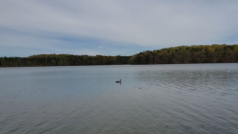 Wildlife Watching and Birdwatching Opportunities