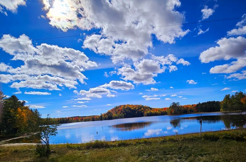 Wildlife Watching and Birdwatching Opportunities