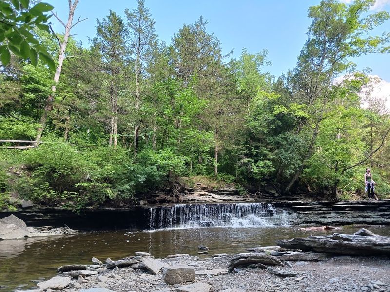 Wildlife Watching and Natural Beauty That Reminds You Why the Outdoors Matters