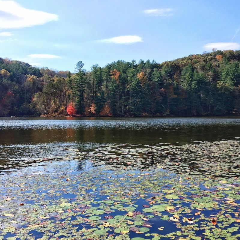 Wildlife Watching and Nature Encounters