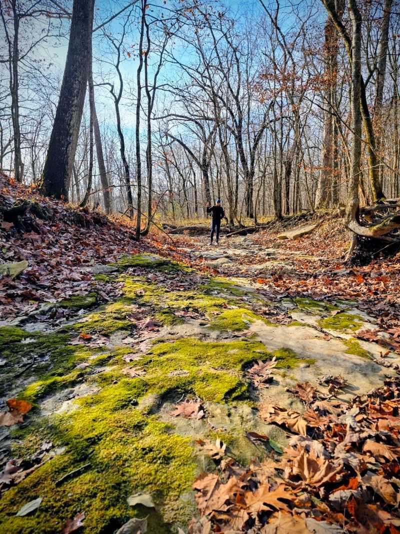 Wildlife Watching and Nature Photography