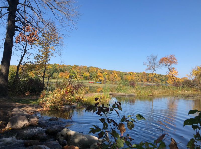 Wildlife and Birdwatching Along the Shoreline