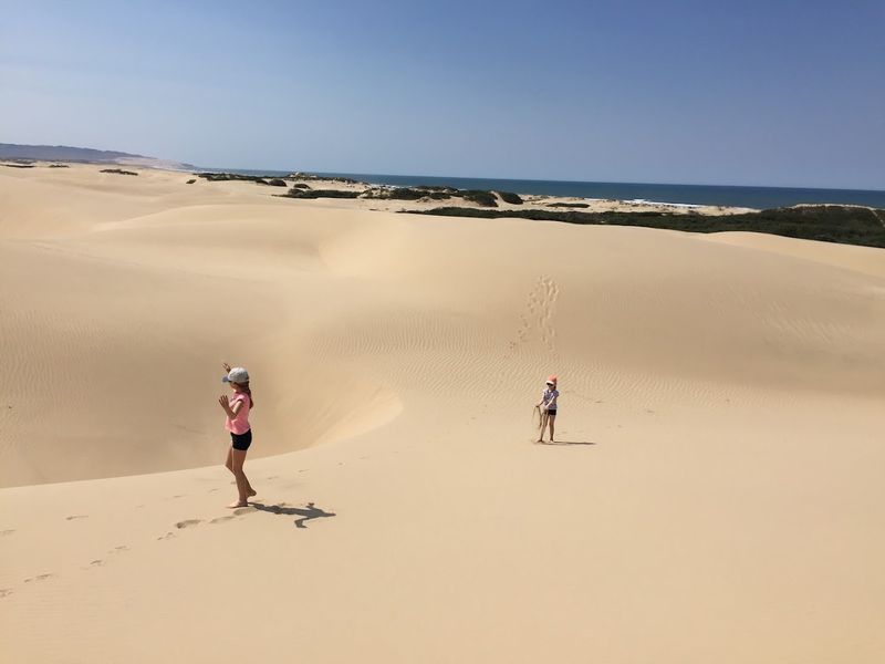 Wildlife and Native Plants Hidden Among The Dunes