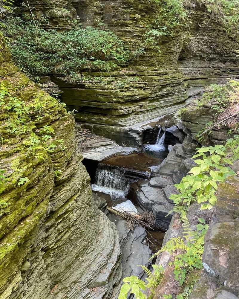 Wildlife and Nature Along the Trail