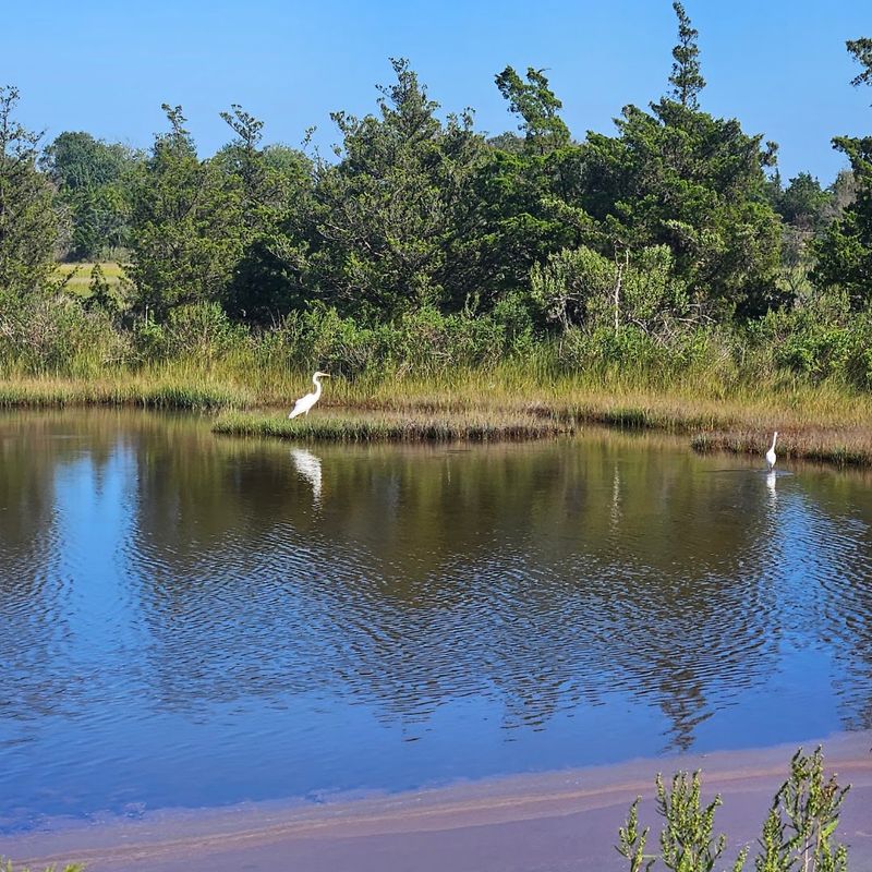 Wildlife and Nature Highlights You Will Spot on the Route