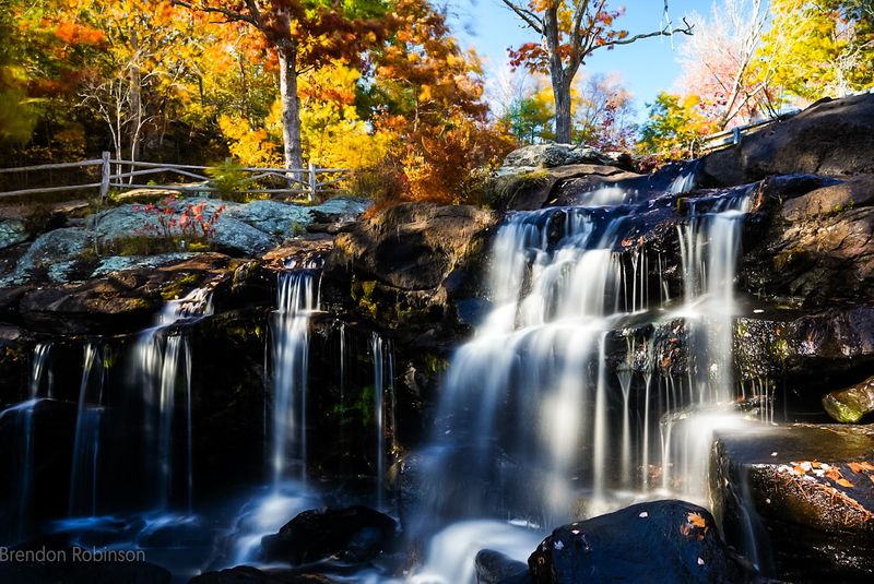 Wildlife and Nature Sounds Worth Savoring Wildlife and Nature Sounds Worth Savoring