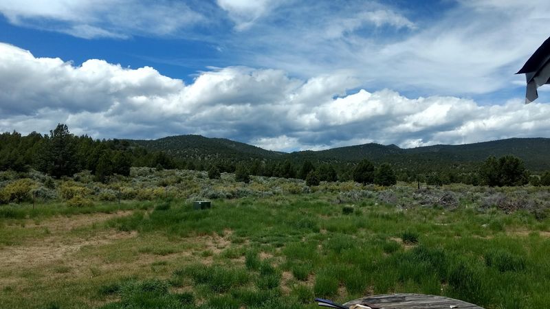 Wildlife and Nature Surround the Town on Every Side