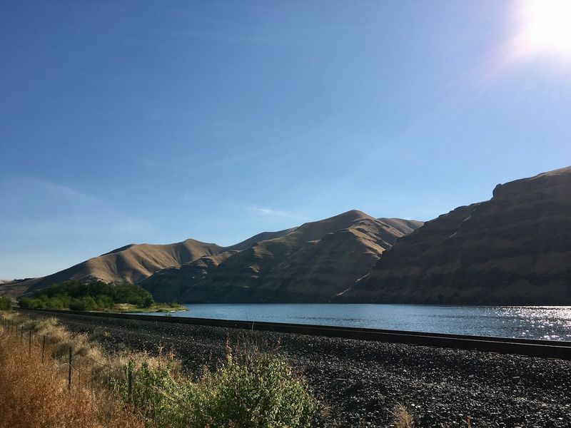 Wildlife and Nature That Surrounds the Town