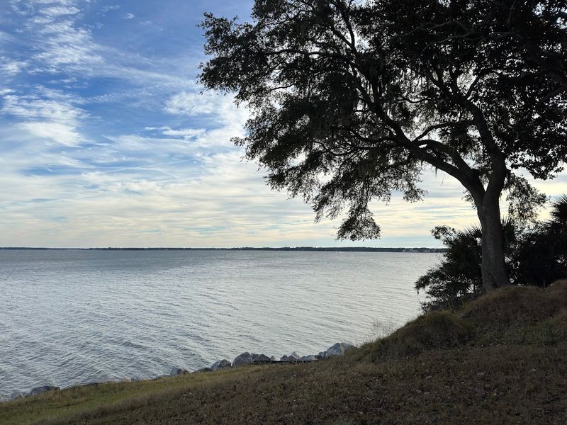 Wildlife and Nature Throughout the Island