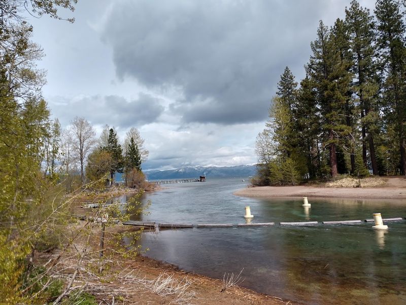 Wildlife and Nature Worth Watching Along the Way