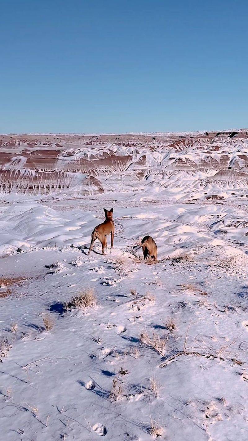 Wildlife and Unexpected Surprises Along the Way