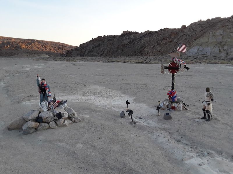 Wildlife in the Desert: Surprising Animals Near Trona Wildlife in the Desert: Surprising Animals Near Trona
