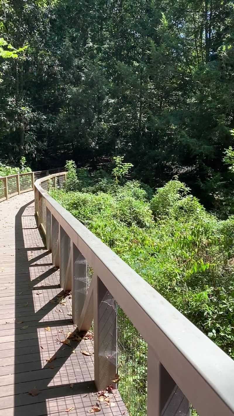 Winding Forest Trails Perfect for Every Skill Level Winding Forest Trails Perfect for Every Skill Level