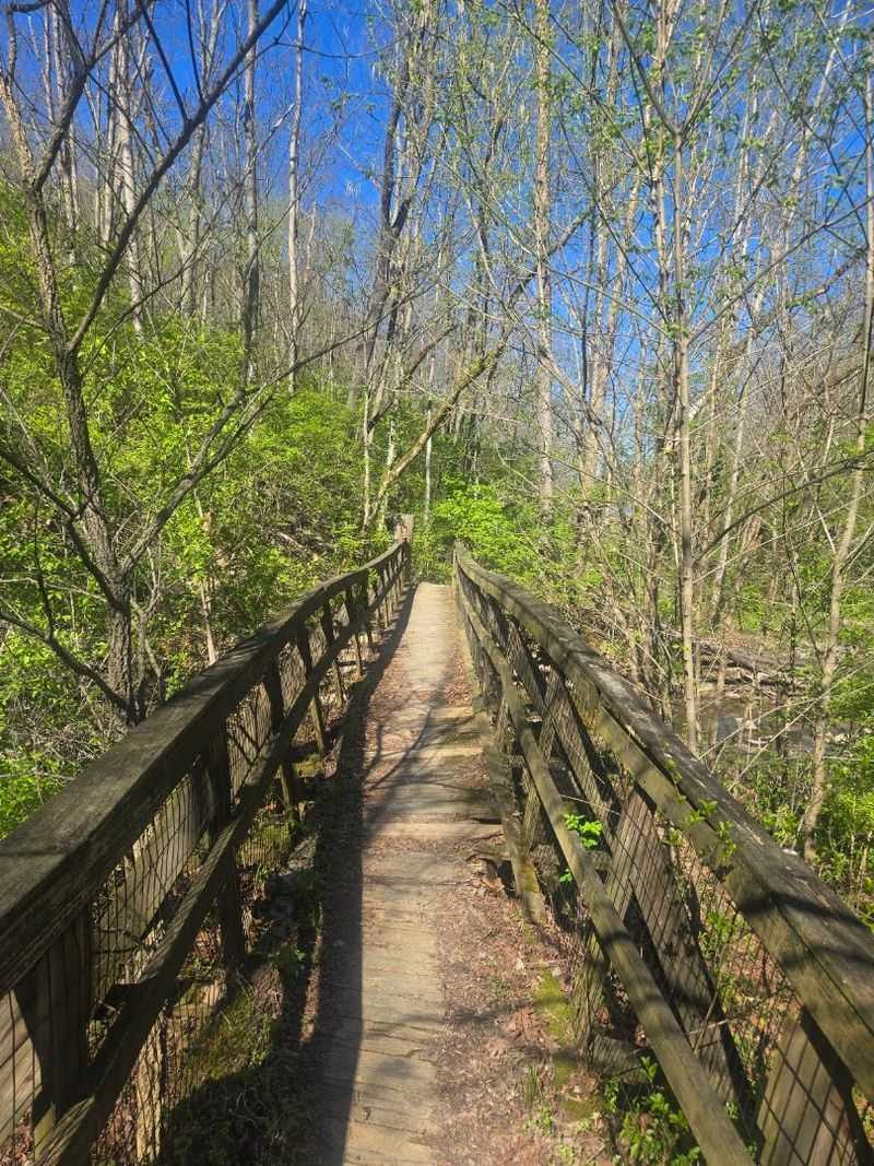 Winding Trails That Feel Like a Walk Through a Storybook Winding Trails That Feel Like a Walk Through a Storybook