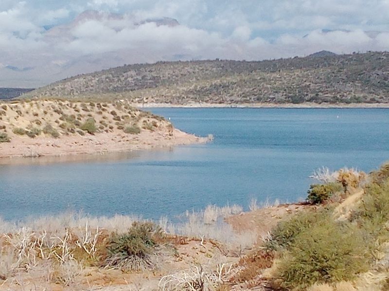 Windy Hill Campground - Roosevelt, Arizona
