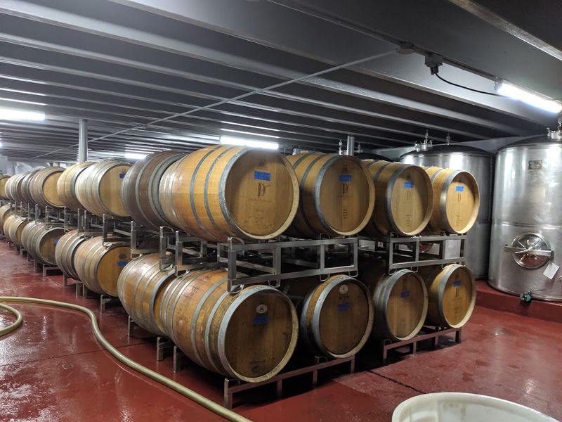 Wine Cellar Tours That Teach You Something New